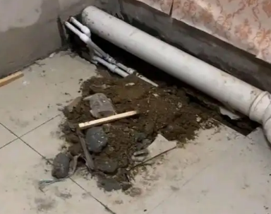 郴州市卫生间漏水检测哪家好